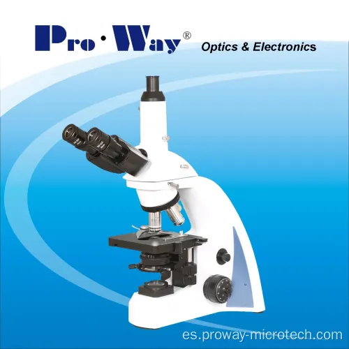 40X-1000X SEIDENTOPF Microscopio biológico binocular 300